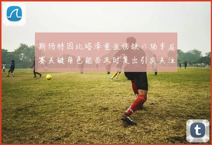 斯玛特因比塔泽重坐伤缺六场季后赛关键角色能否及时复出引发关注