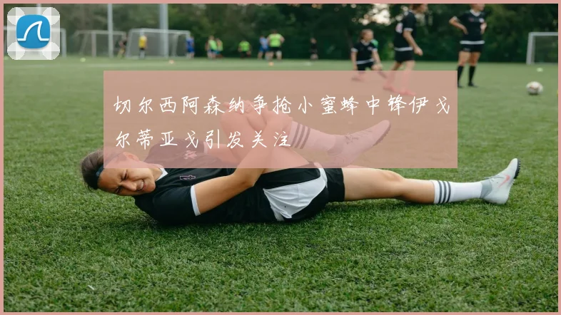 切尔西阿森纳争抢小蜜蜂中锋伊戈尔蒂亚戈引发关注